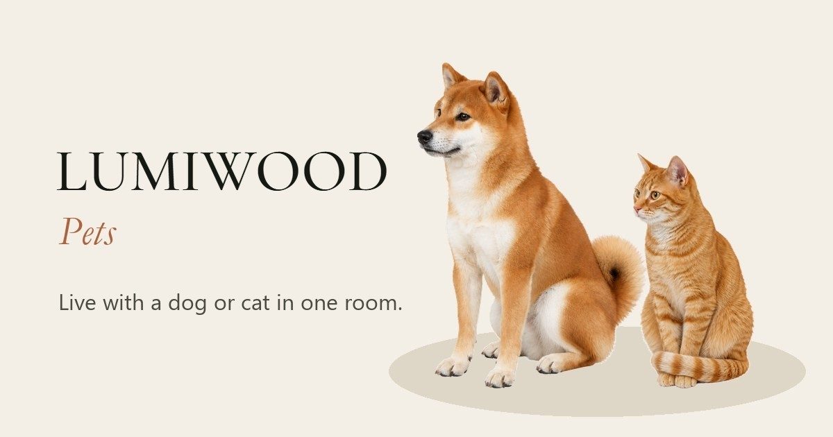 A Shiba Inu in LUMIWOOD Pets